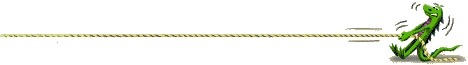 Ligne delire - 011